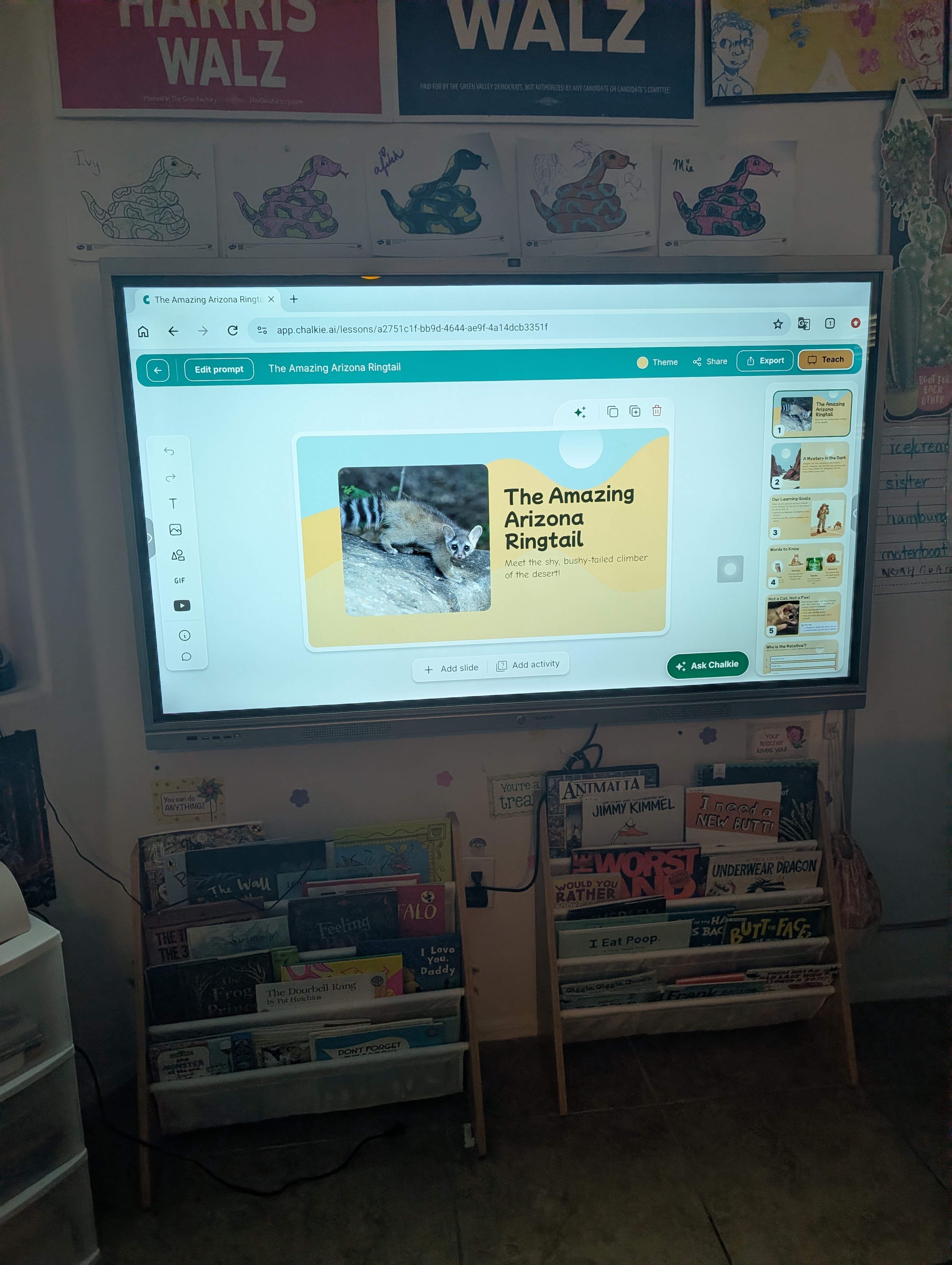 A 65-inch interactive classroom board displaying a lesson about the Arizona ringtail